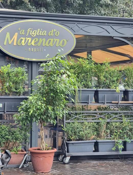 Casa Comoda E Centrale In Quartiere Storico Di Napoli المظهر الخارجي الصورة